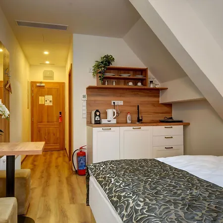 Hotel Karlova Prague