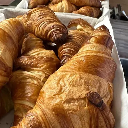 فندق Karlova براغ